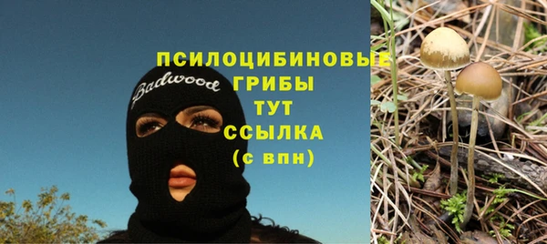 бошки Армянск
