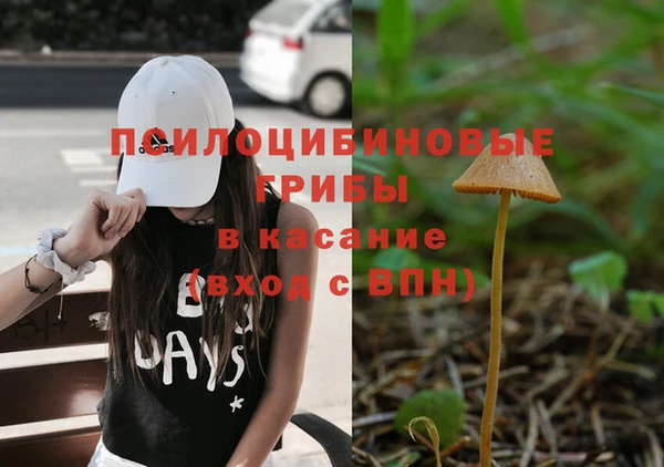 бошки Армянск