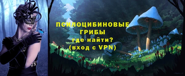 бошки Армянск